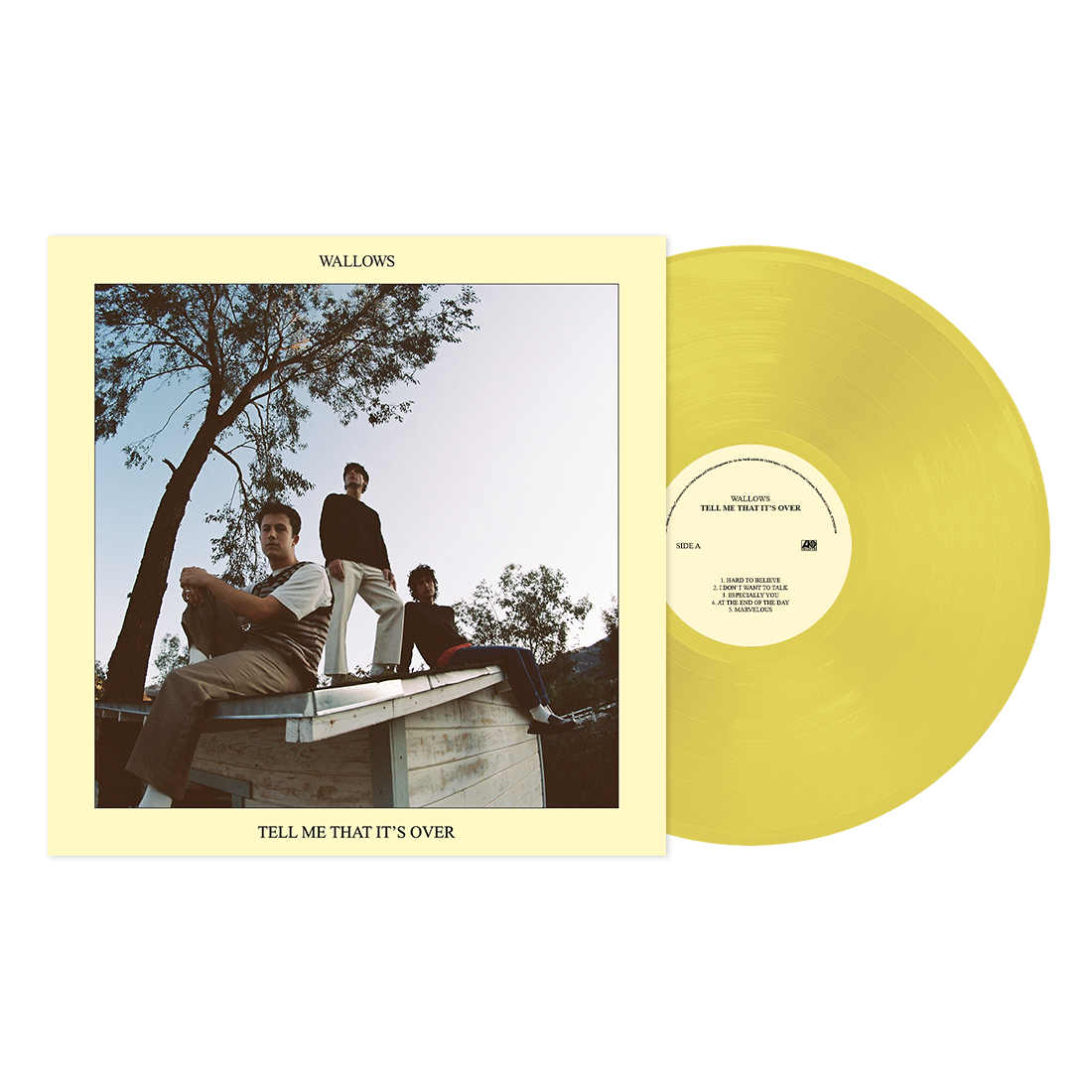 Wallows Tell Me That It's Over Vinyl Record