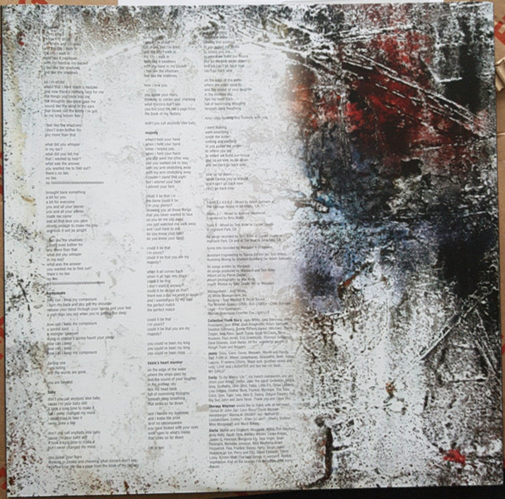 Warpaint – The Fool (2-LP Vinyl) Vinyl Record