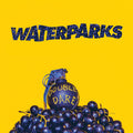 Waterparks Double Dare Vinyl Record