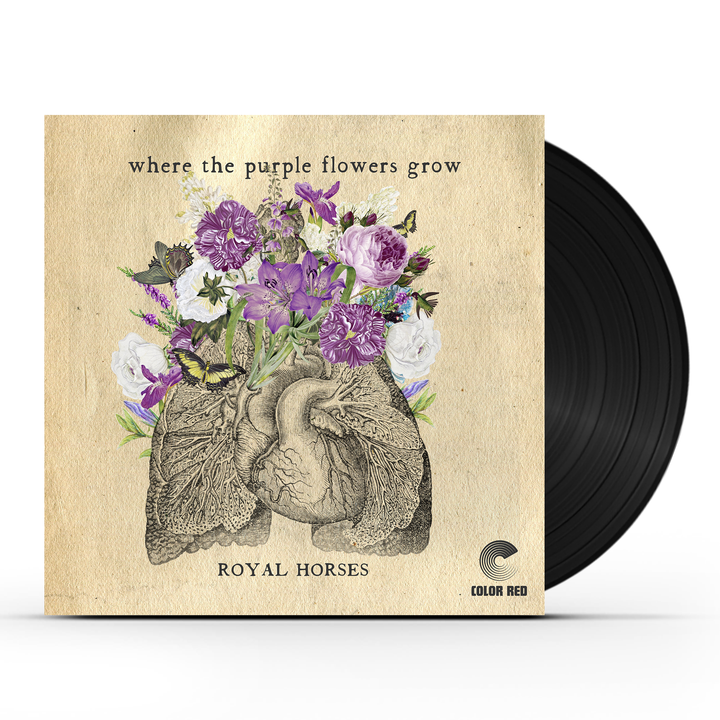 Royal Horses - Where The Purple Flowers Grow (LP) Vinyl Record