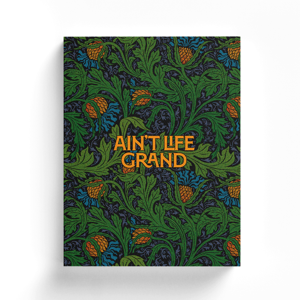 Widespread Panic: 40 Years | Special Relix Softcover Edition Book Cover Art by Chuck Sperry