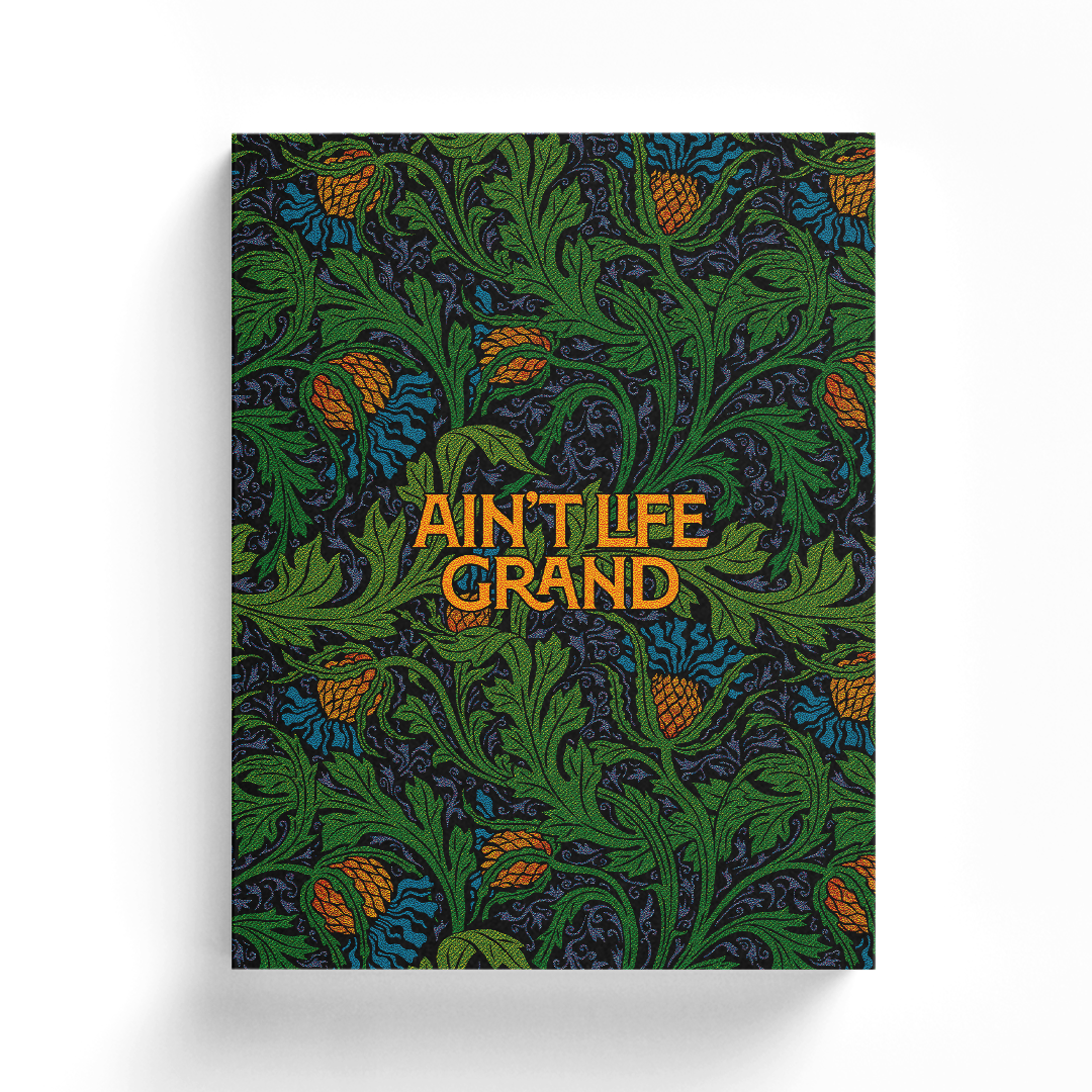 Widespread Panic: 40 Years | Special Relix Softcover Edition Book Cover Art by Chuck Sperry
