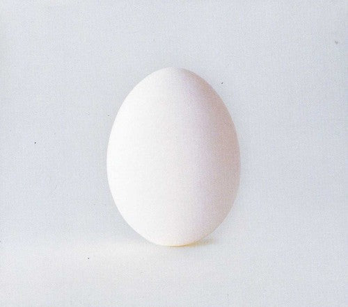 Wilco – A Ghost Is Born Music CD