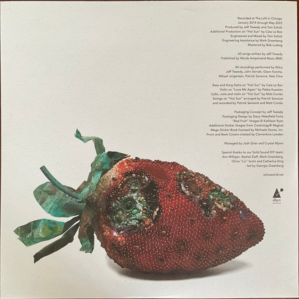 Wilco – Hot Sun Cool Shroud (LP Vinyl) Vinyl Record