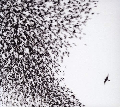 Wilco – Sky Blue Sky Music CD