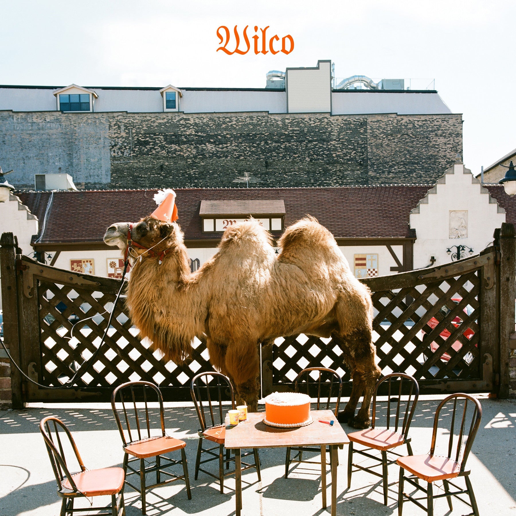 Wilco – Wilco (LP + CD) Vinyl Record