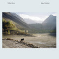 William Delee – Raynol Overlook (LP Vinyl) Vinyl Record