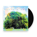 Yo La Tengo – Fade (LP Vinyl) Vinyl Record