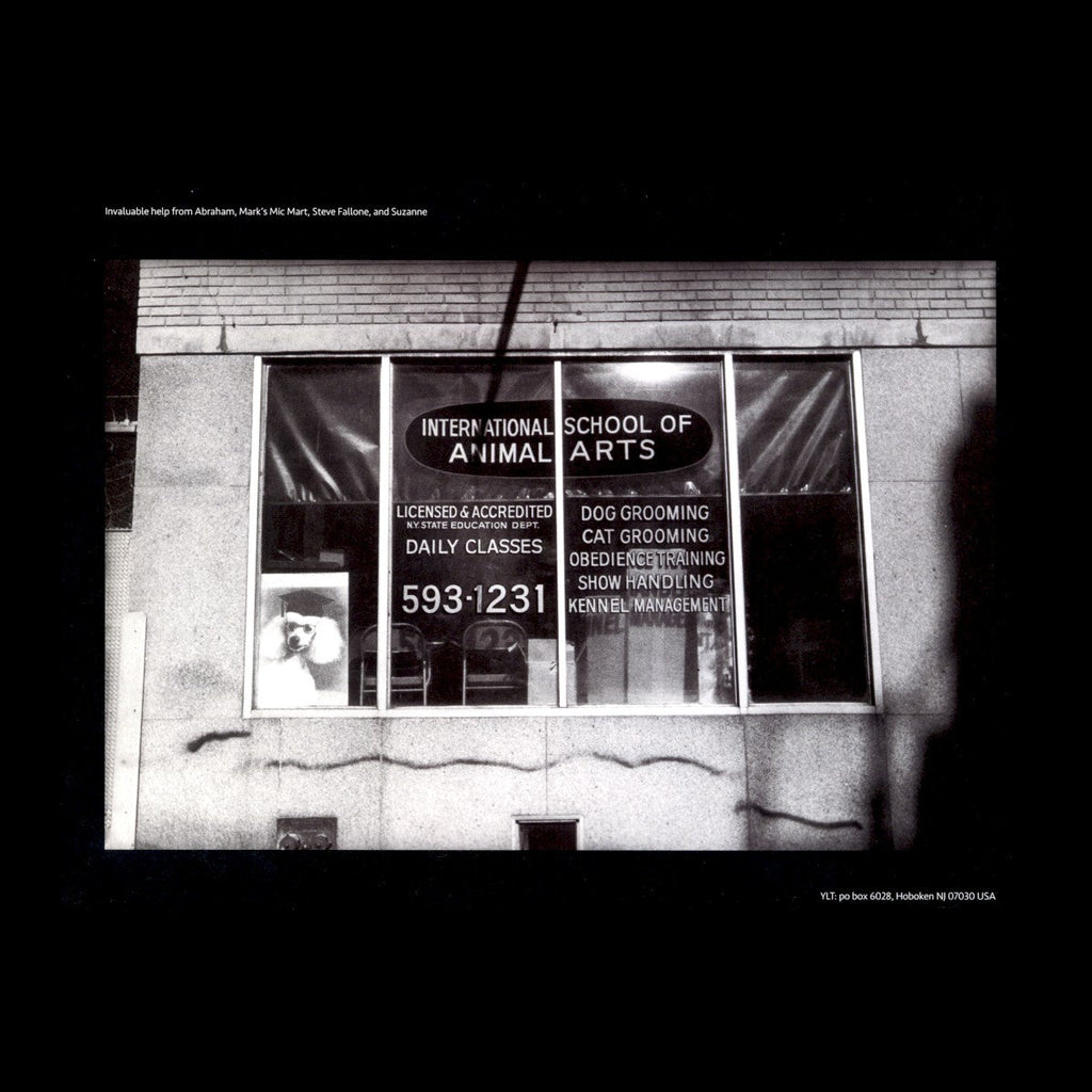 Yo La Tengo – This Stupid World (2-LP Blue Vinyl) Vinyl Record