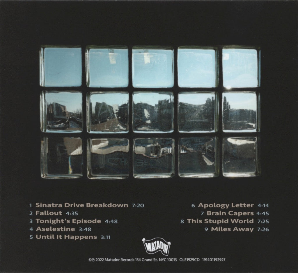Yo La Tengo – This Stupid World Music CD