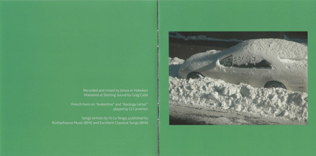 Yo La Tengo – This Stupid World Music CD