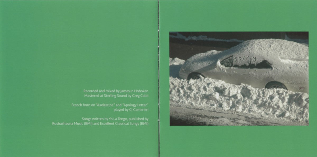 Yo La Tengo – This Stupid World Music CD