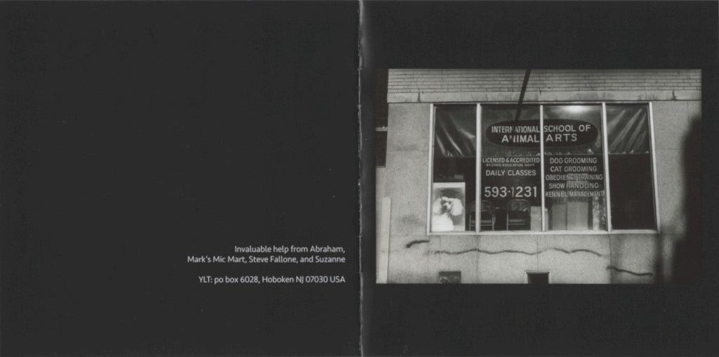 Yo La Tengo – This Stupid World Music CD