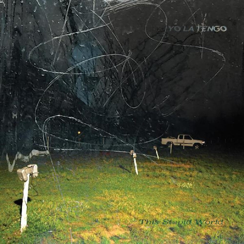 Yo La Tengo – This Stupid World Music CD