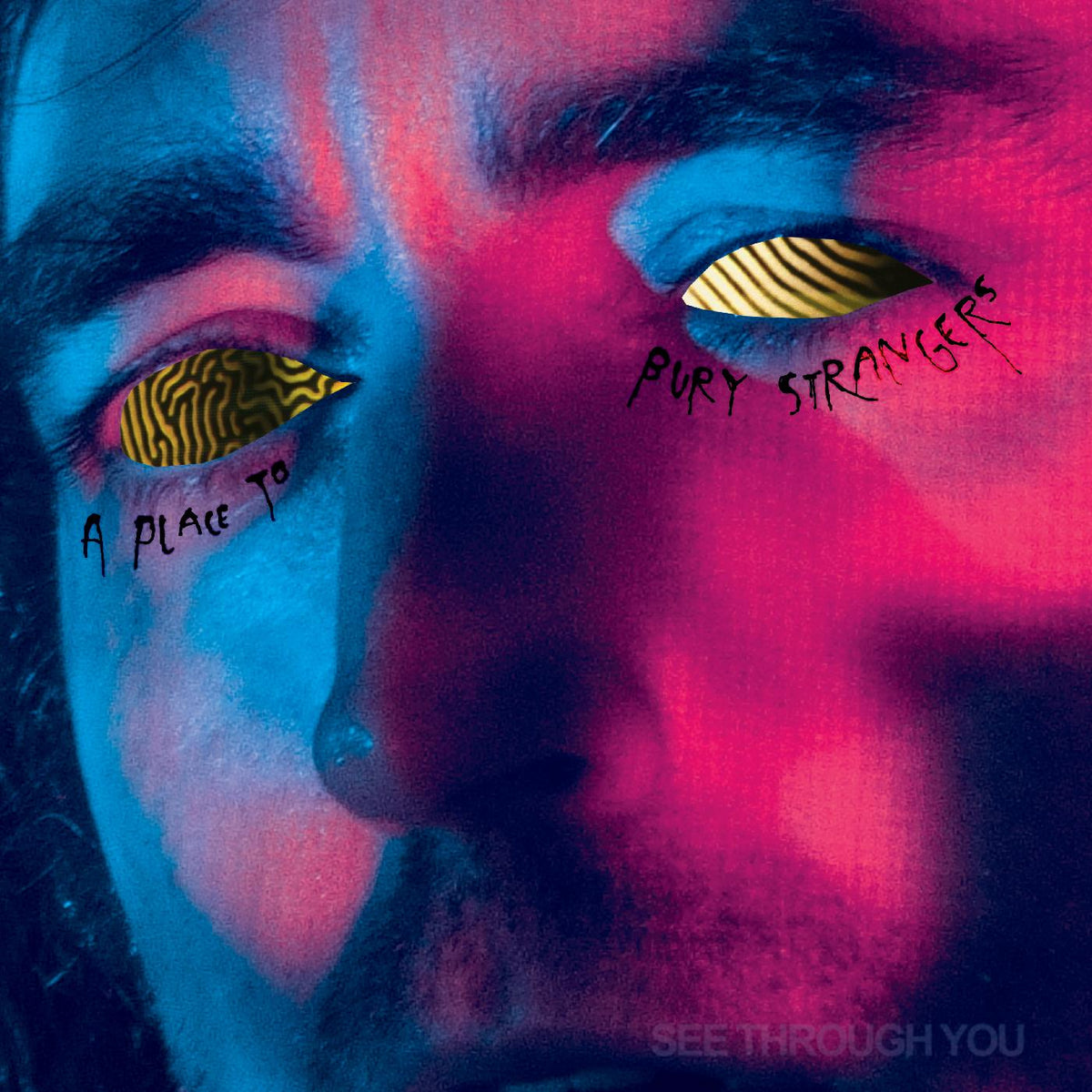 See Through You Music CD