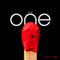 The One Vinyl Record