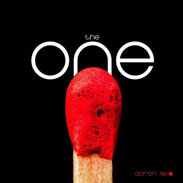 The One Vinyl Record