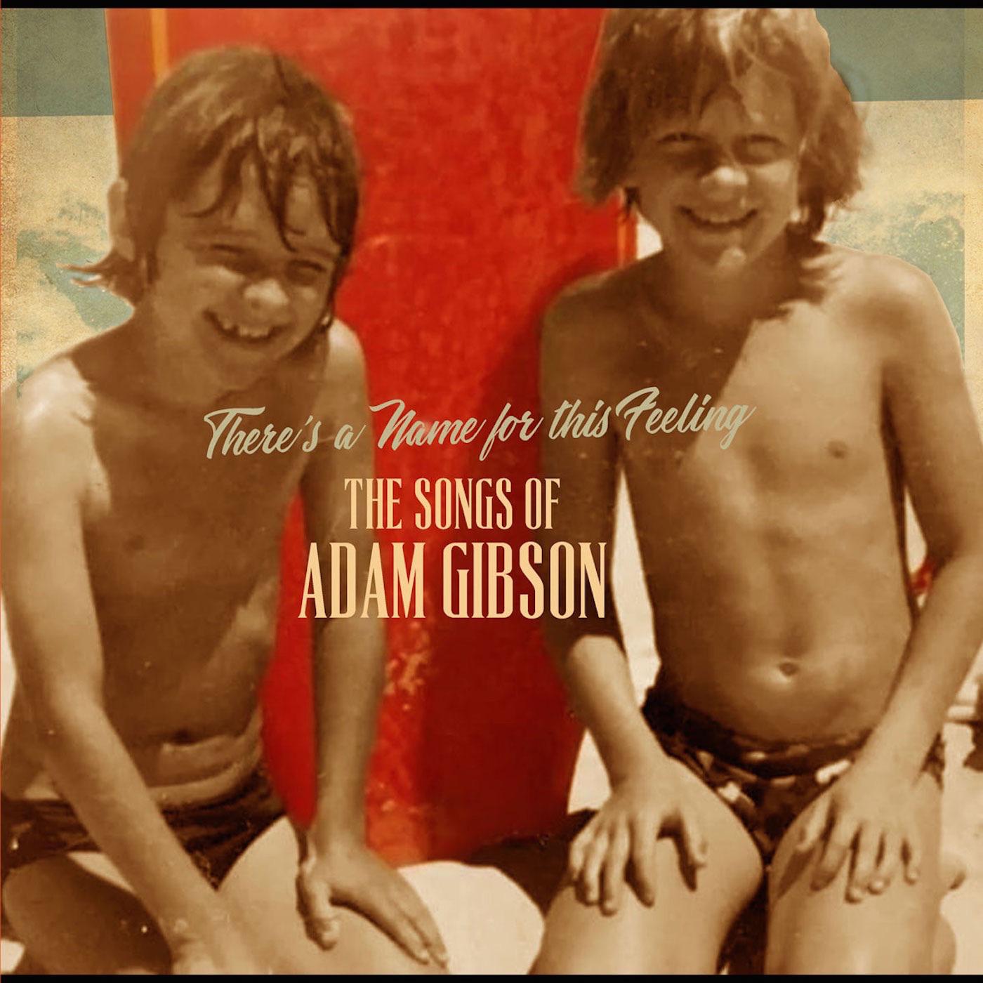 The Songs of Adam Gibson Vinyl Record