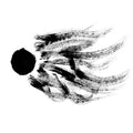 Dissidentova Music CD