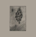 Locusts Vinyl Record