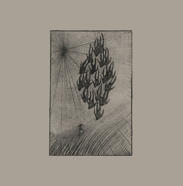 Locusts Vinyl Record