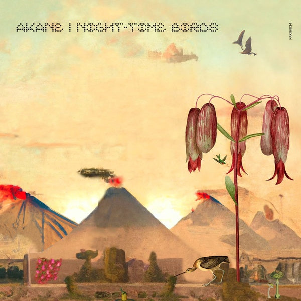 Night-Time Birds Vinyl Record