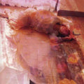 I Hope So Vinyl Record
