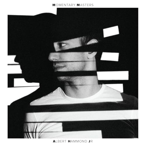 Albert Hammond Jr. - Momentary Masters Vinyl Record