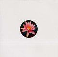 Balungan Vinyl Record