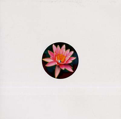 Balungan Vinyl Record