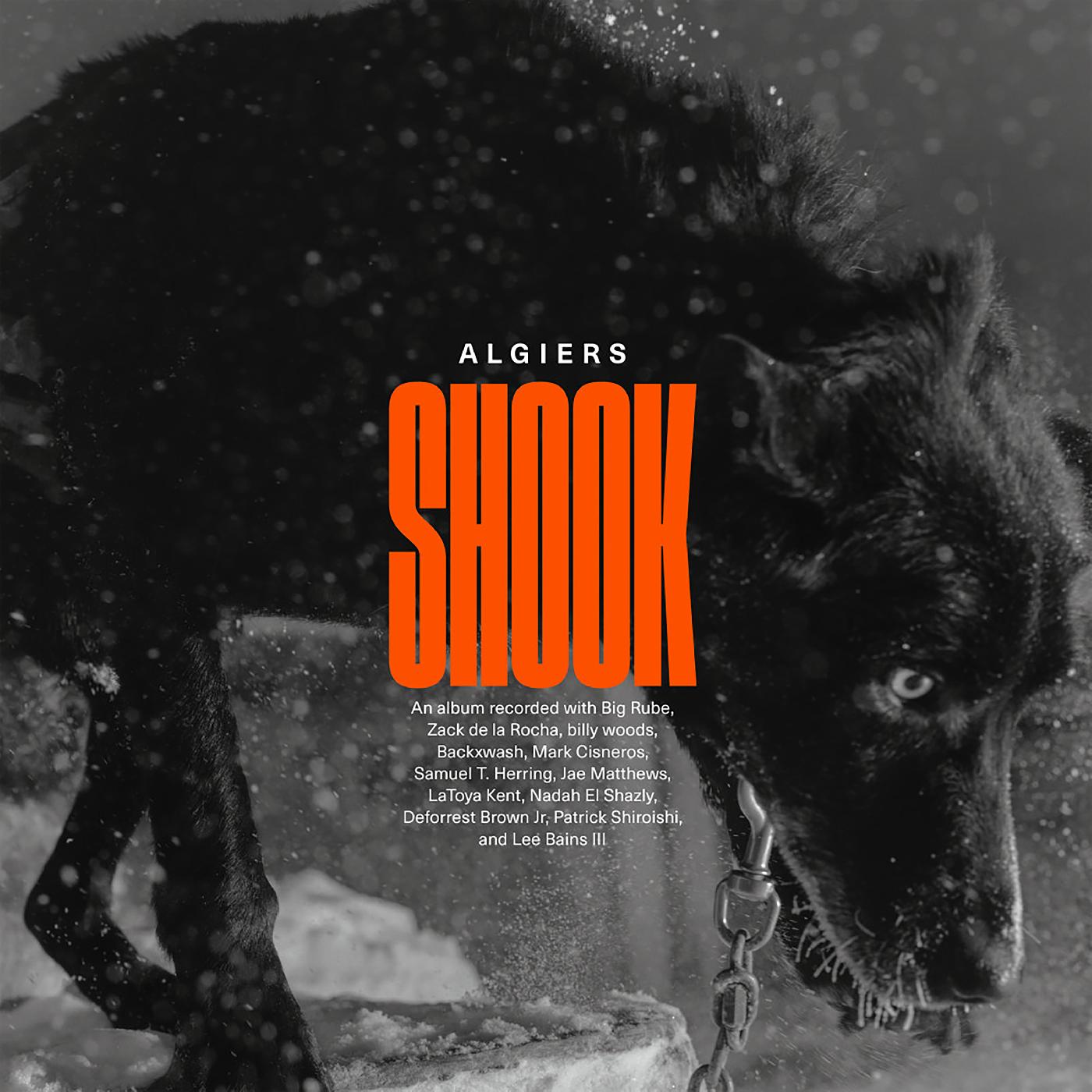 Shook Music CD