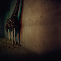 Alien Ensemble 2 Music CD