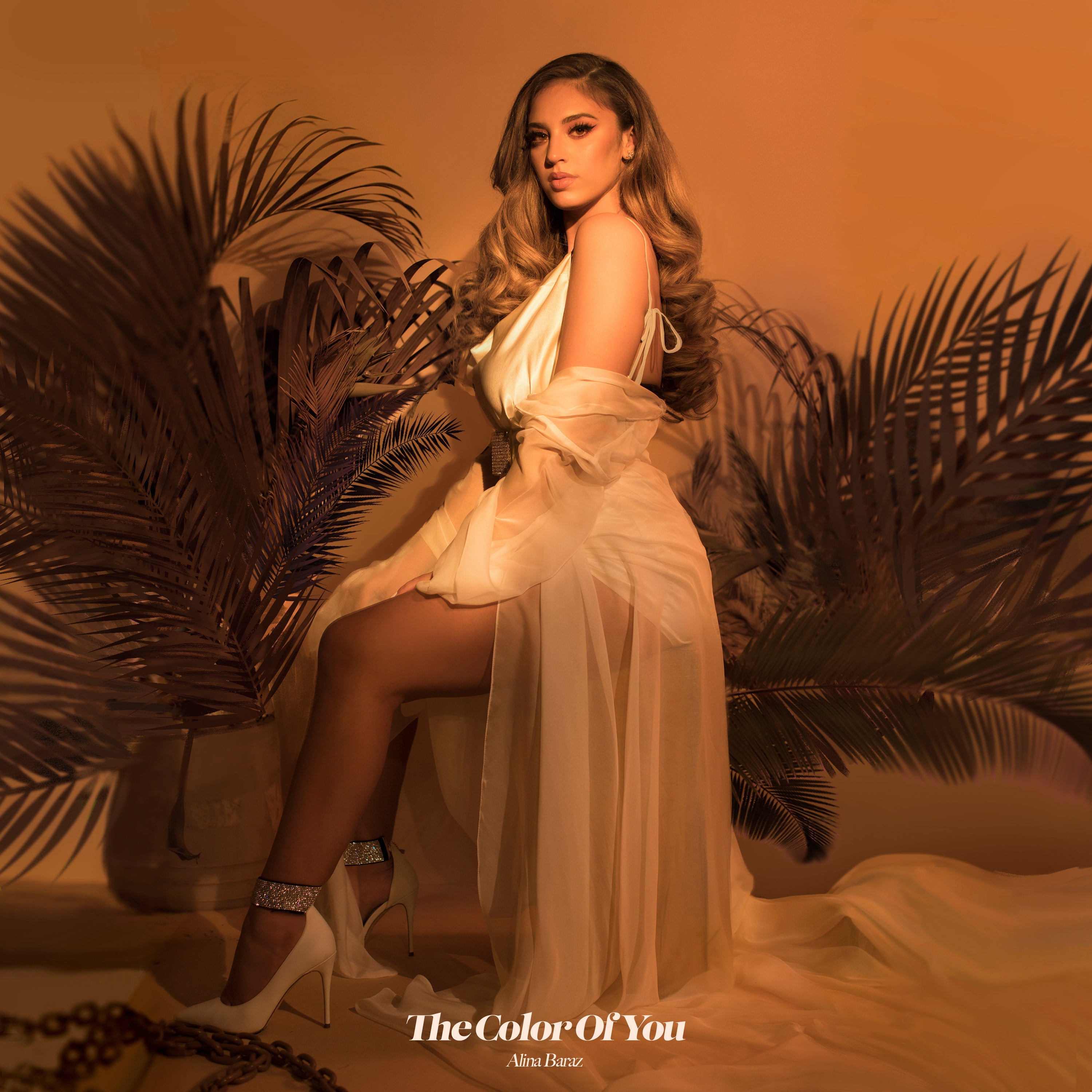 The Color Of You Music CD
