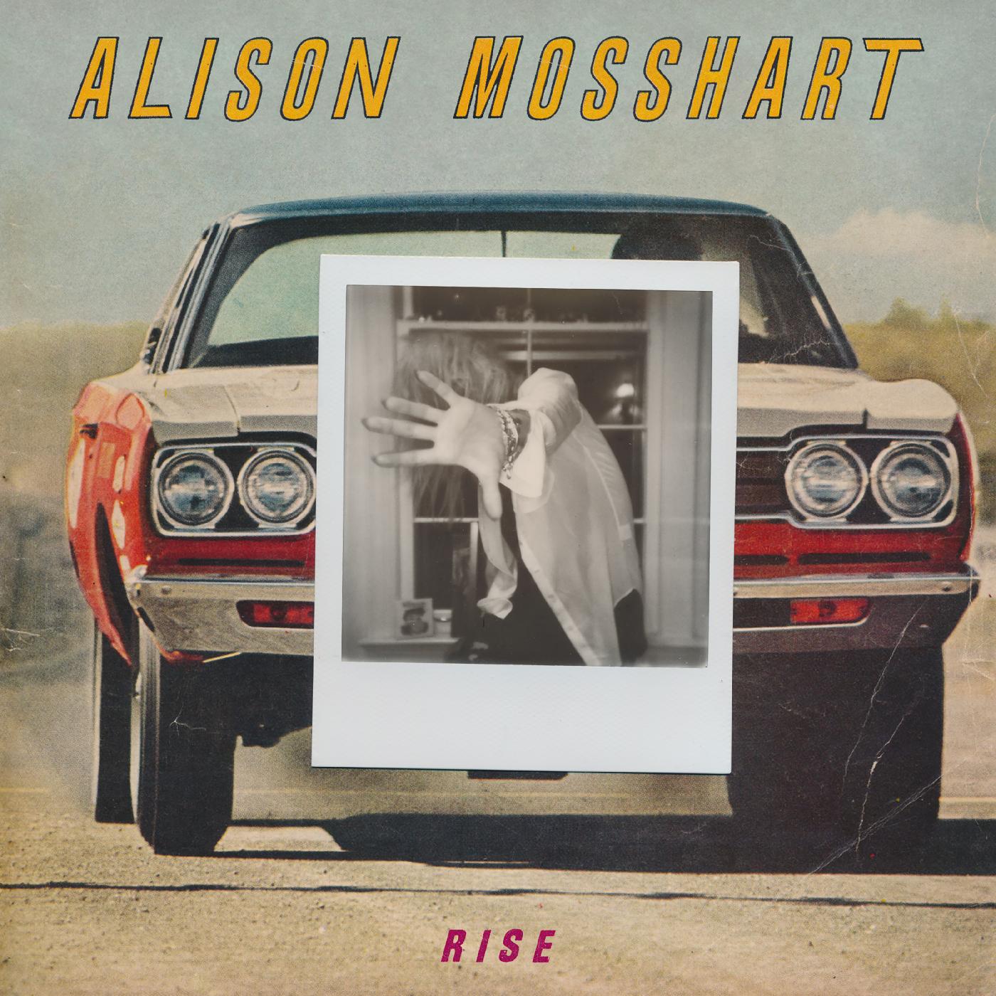 Rise Vinyl Record