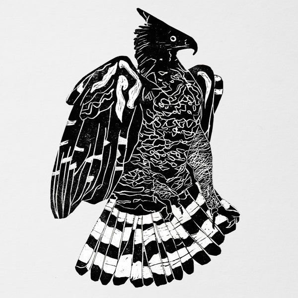 ALPHA STEPPA & NAI-JAH - Crowned Eagle [2LP] Vinyl Record
