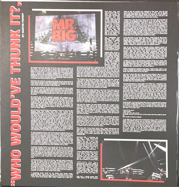 Mr. Big - The Big Finish Lean Into It Live (COLOR VINYL RSD) |