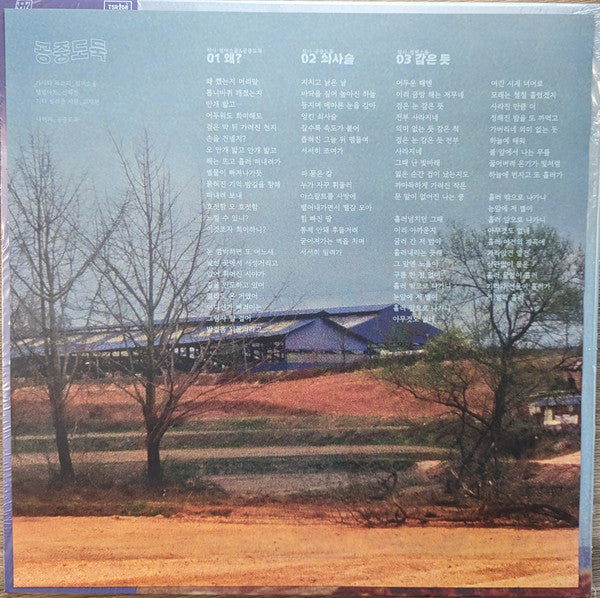 Mid-Air Thief 공중도둑 - Crumbling (Purple and Gold "Amber Coastilne" Vinyl) |