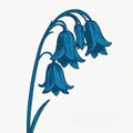 The Bluebells - (PRESALE 5/15/26) This Is The Bluebells (GLADE GREEN 2xVINYL) | Mint (M) Mint (M)