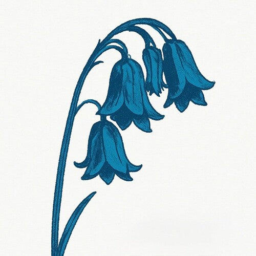 The Bluebells - (PRESALE 5/15/26) This Is The Bluebells (GLADE GREEN 2xVINYL) | Mint (M) Mint (M)