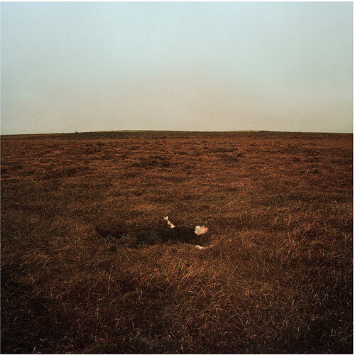 Fink - (PRESALE 6/5/26) The City Is Coming to Erase It All (BOOKLET BROWN VINYL) | Mint (M) Mint (M)