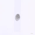 (PRE ORDER 2/27/2026) S H I N E (WHITE VINYL) |