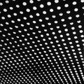 Bloom (VINYL)(2023) | Mint (M) Mint (M)
