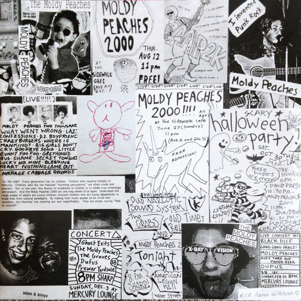 The Moldy Peaches (2xVINYL) | Mint (M) Mint (M)