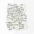 Body/Dilloway/Head - Body/Dilloway/Head |