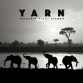 Yarn - (PRE ORDER 4/24/26) Saturday Night Sermon (VINYL) |