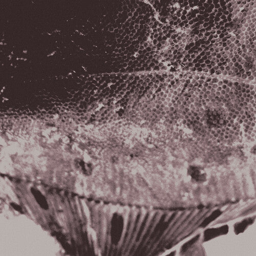 Mark Ijzerman - (PRESALE 5/15/26) Flounder Maps (VINYL) | Mint (M) Mint (M)