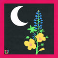 (PRE-ORDER 11/7/25) Reside (VINYL) | Mint (M) Mint (M)