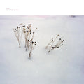 Mára - Here Behold Your Own |