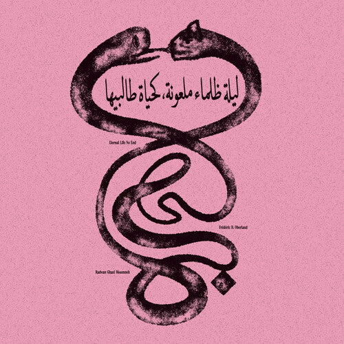 Radwan Ghazi Moumneh - (PRE ORDER 4/3/26) Eternal Life No End (VINYL) |