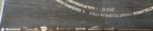 Inuktitut (VINYL) | Mint (M) Mint (M)